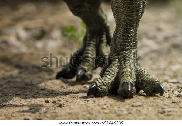 地面を歩くティラノサウルスの恐竜の足 の写真素材 今すぐ編集