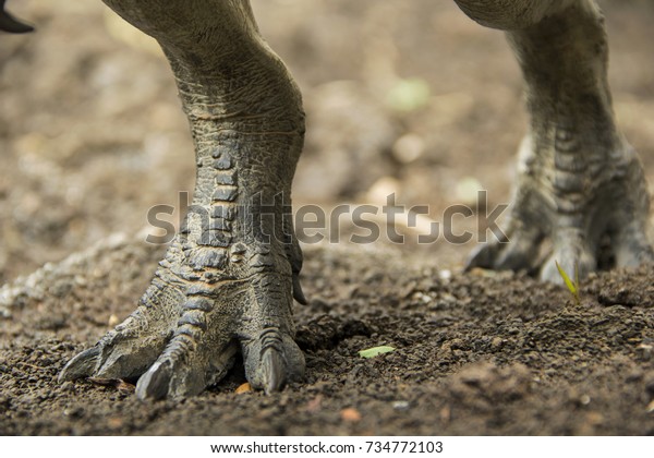 Dinosaur Feet Walking Tyrannosaurus Trex On Stock Photo (Edit Now ...