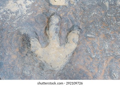 Dinosaur Footprints Imprint On Rock Era Stock Photo 292109702 ...