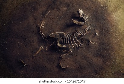 Dinosaur Fossil (Tyrannosaurus Rex) Found by Archaeologists - Shutterstock ID 1542671345