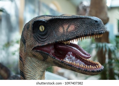 Dinosaur With Growls Open Mouth.closeup