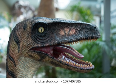 Dinosaur With Growls Open Mouth.closeup