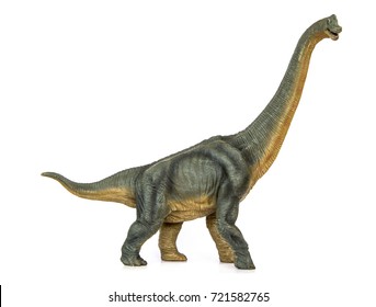 Dinosaur long necked sauropod diermibot breed name Brachiosaurus. A dinosaur eating plants in the Jurassic era. isolated on white background.