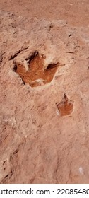 Dinosaur Paw Print, Navajo Territory 