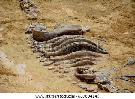 Dinosaur simulator fossil in sand background