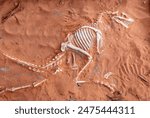 Dinosaur Skeleton Bones in Sand near Moqui Cave Paleontology Museum in Southern Utah US