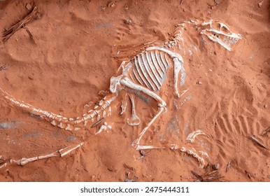 Dinosaur Skeleton Bones in Sand near Moqui Cave Paleontology Museum in Southern Utah US