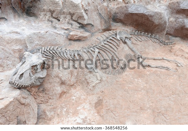 Dinosaur skeleton in\
ground stone Fossil Tyrannosaurus archaeological excavations.\
Prehistoric monster 