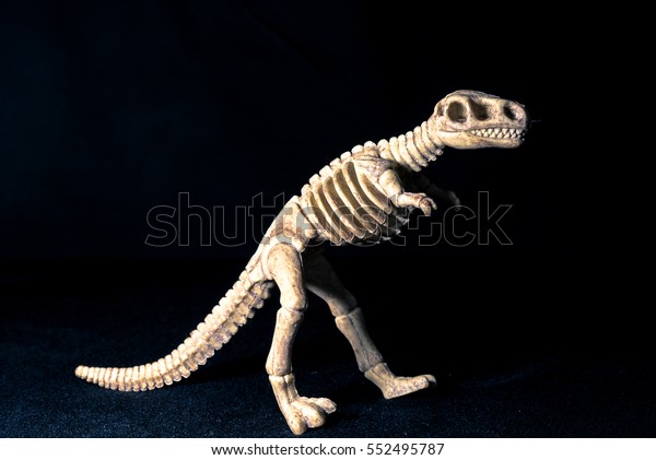 dinosaur skeleton in ground