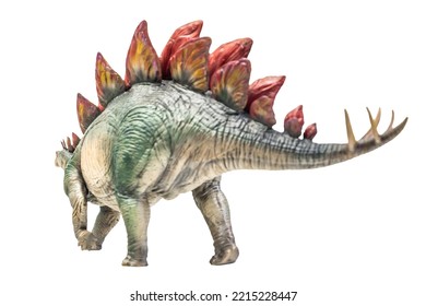 Dinosaur , Stegosaurus Isolated Background 