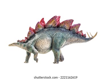 Dinosaur , Stegosaurus Isolated Background 