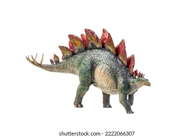 Dinosaur , Stegosaurus Isolated Background 