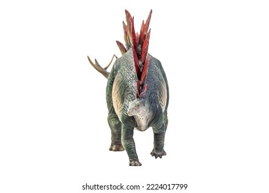 Dinosaur , Stegosaurus Isolated Background 