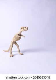 Dinosaur Tyrannosaurus T Rex Skeleton Model Toy On White Background Isolated Object