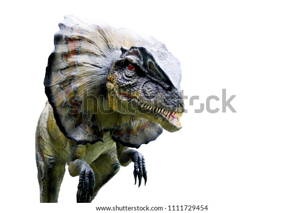 Dinosaurs Portraitdinosaur Dilophosaurus Isolated On White Stock Photo ...