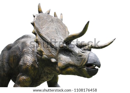 dinosaurs portrait.Dinosaur Triceratops horridus, lived more than 60 million years ago. isolated on white background