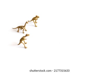 Dinosaurs Skeletons On Isolated Background. Concept Of Old Antiques And Retro Collectibles Memorabilia