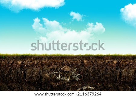 Dinosaurs skulls, reptile skeleton bones, ancient sea molluscs shells in soil deep layers cross section. History of life on earth concept. paleontology science background