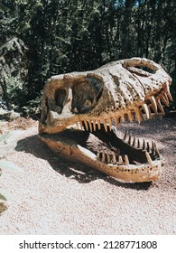 Dinossauros, Natureza, Animais, Papel de Parede