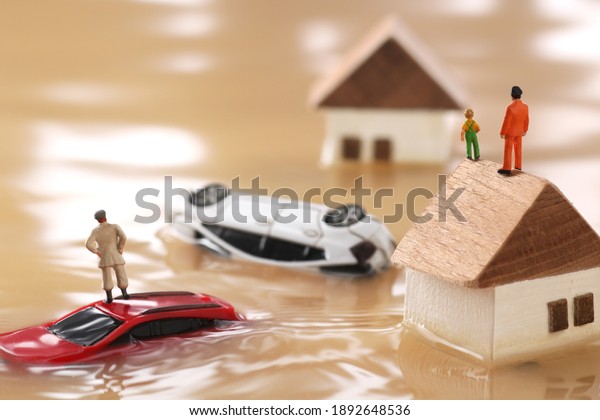 Diorama landscape of houses flooded by floods and\
people waiting for\
rescue