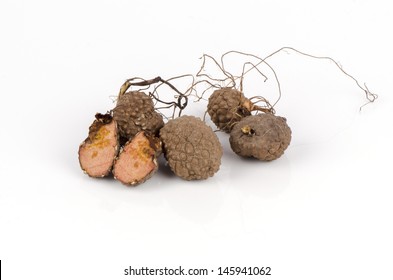 Dioscorea Bulbifera L. (Dioscoreaceae).