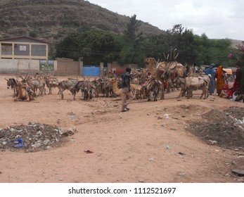 29 Ethiopian camel farm Images, Stock Photos & Vectors | Shutterstock