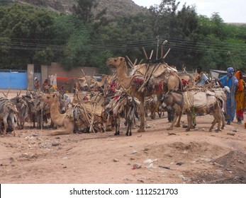 29 Ethiopian camel farm Images, Stock Photos & Vectors | Shutterstock