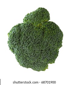 A Direct Overhead Bird's Eye View Above The Top Of A Green Broccoli Vegetable Isolated On White Background.