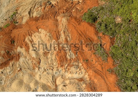 Direct top-down aerial view of an eroded soil slope with heavy rill erosion patterns and tire tracks meeting a green forest edge under bright sunlight.
