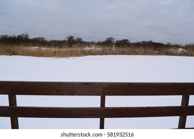 Direct view on the wooden planks of the boardwalk and nature in winter