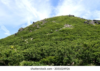 The Direction Of The Mountaintop Seen From The Mountain Trail Of Mt. Iwaki, Tsugaru Fuji, Aomori Prefecture, Japan