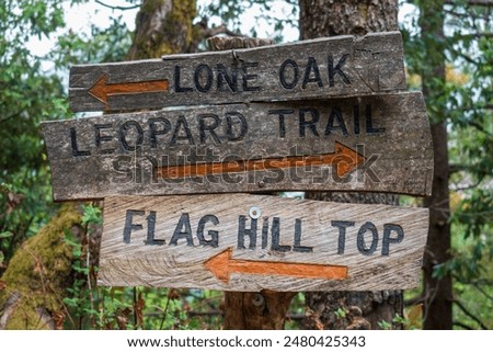 Direction sign, Crossroad signpost. Wooden Signboard. Wood arrow giving directions to hikes. Signpost to guide towards different landmarks. Direction sign board. old weathered mossy Hiking trail sign.