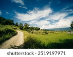 Direction sign on the Via degli Dei or The Gods way in the Apennines mountains in Italy, between Bologna and Florence. High quality photo