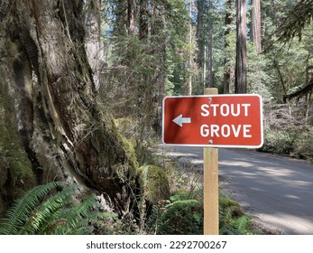 Direction sign to Stout Grove Jedidiah Smith Redwoods State Park