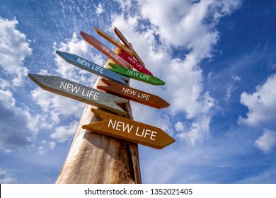 Direction Signs Or Crossroad Signpost Saying NEW LIFE, Concept For Fresh Start, New Year Resolution, Dieting And Healthy Lifestyle