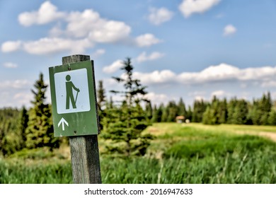 Directional sign in an Alberta Park noting the entrance to a hiking trail