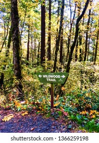 Directional Signage At The Forest. Forest Park Portland, Oregon.