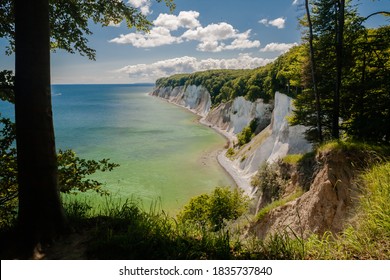 Directly At The Famous Chalk Cliff On Rügen National Park