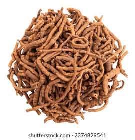 Dired roots of Polygala tenuifolia Willd or chinese senega isolated on white with clipping path.Chinese herbs.top view.