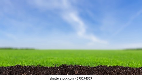 Dirt.