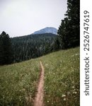 Dirt bike trail in beautiful Bridger Mountain range by Bozeman Montana in summer