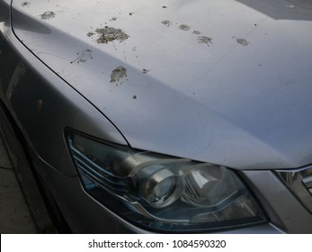 Dirt from the bird falling on the bonnet. This causes damage
