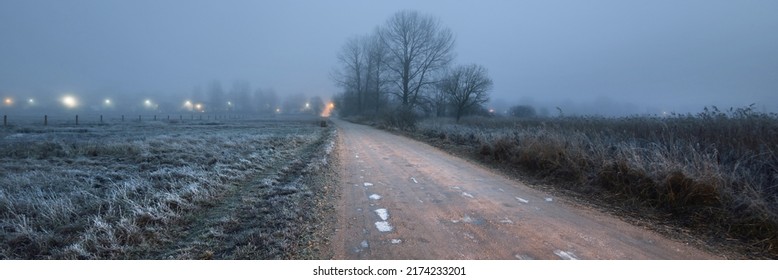 A dirt country road through the fields in a thick fog, Netherlands. Lonely trees in the background. Fresh snow and frost on the grass. Seasons, climate change theme