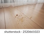 Dirt and dust on wooden floor