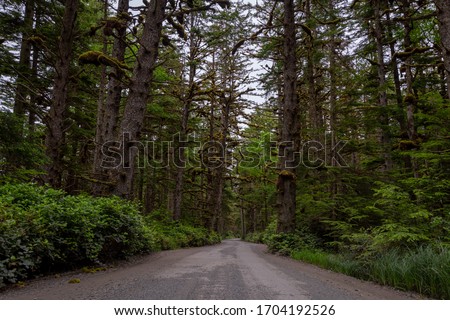 Dirt and gravel road through a thick lush forest heading towards Tow (Taaw) Hill in Naikoon Provincial Park on the remote Graham Island of  Haida Gwaii, British Columbia, Canada.