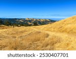 A dirt hiking trail leads through the golden grasslands of Halls Valley in Joseph D. Grant County Park, framed by rolling hills and dense forests under a clear blue sky