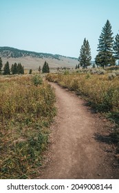 Dirt Hiking Trail To Wraith Falls In Yellowstone National Park