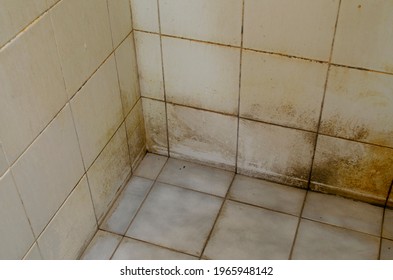 Dirt on floors, walls, and corners of bathroom tiles. Slippery and may have an accident. Accumulation of pathogens. - Shutterstock ID 1965948142