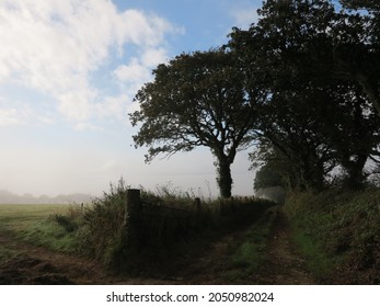 Dirt Patch Farm Land Cornwall