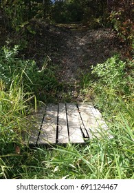 Dirt Path